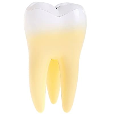 Tooth Replacement Options In Toronto
